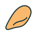 Breast